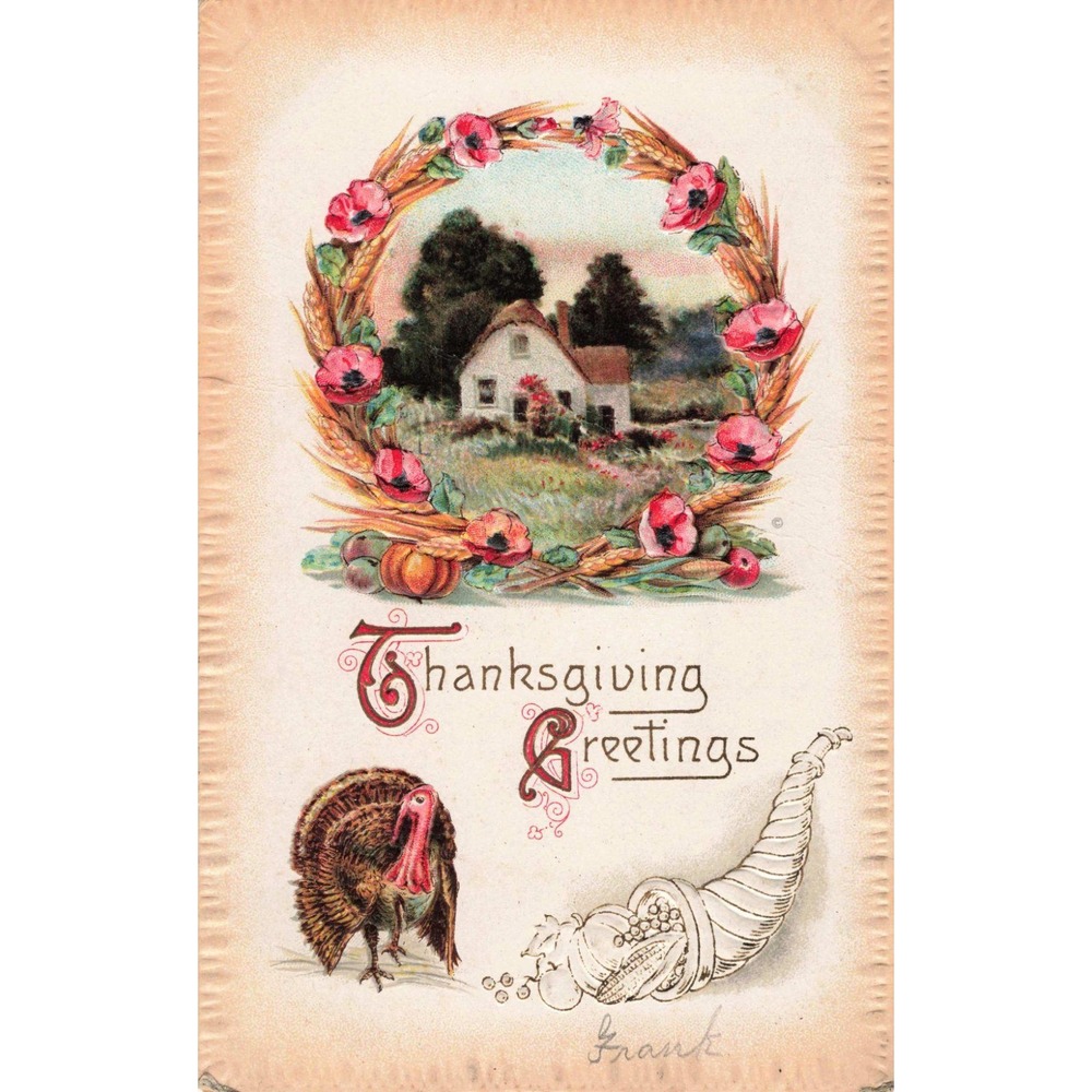 Antique 1911 Thanksgiving Greetings Embossed Postcard Turkey Cornucopia NY Stamp - Picture 1 of 2